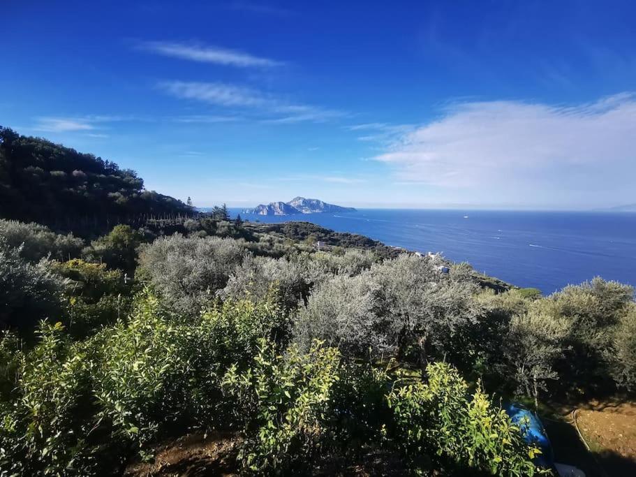 Villa Capri Wonderful View Маса Лубрензе Екстериор снимка