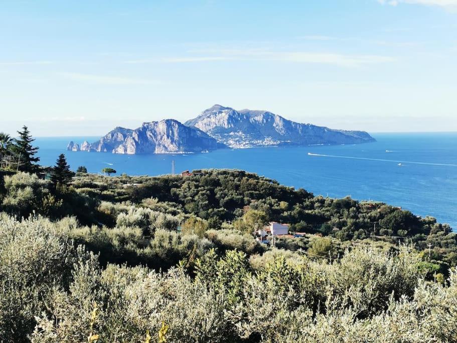 Villa Capri Wonderful View Маса Лубрензе Екстериор снимка